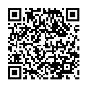 可是……突然……脸上传来一阵尖锐刺骨的疼痛二维码生成