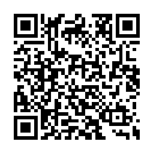 可是……连她看了那些能量武器都觉得大有可为二维码生成