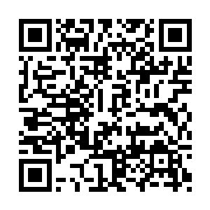 可是・・・・・・如果我们不针对窦家采取行动二维码生成