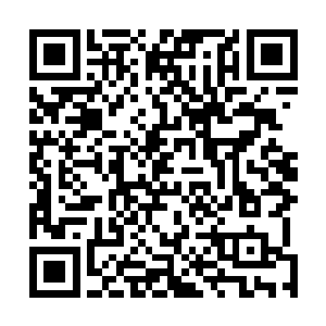 可是一个狐狸精一样的老鸨子就让这风尘地多了几分精彩二维码生成