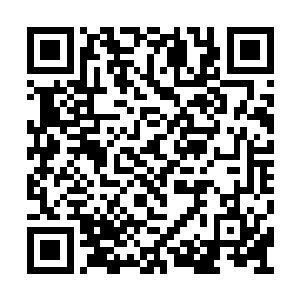 可是一想到叶楚轻易的就破除了他们先祖的仙阵二维码生成