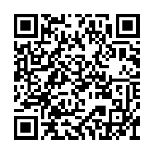 可是一想起沿途所见的那些羽化仙宗弟子的死尸二维码生成
