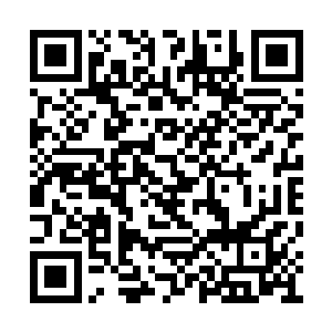 可是下一眼望去却仿佛成为了一个耄耋老者一般二维码生成