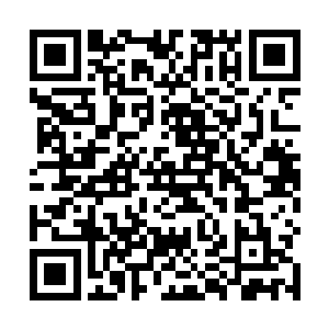可是严默自腰间滴落的血液却散发出了一股奇异的芬芳二维码生成