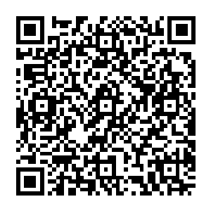 可是为什么我们从香山别墅六号的房间里找到了两个星期以前就应该过期的酸奶瓶标签二维码生成