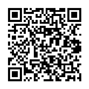 可是九龙圣袍与结界血脉的蕴藏的战力却依然建在二维码生成