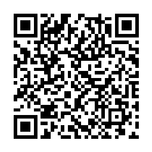 可是也使得徐天涯摸到了大罗金仙境界的一番机缘二维码生成