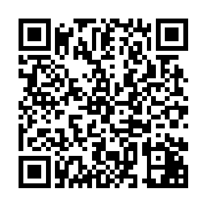 可是也是当初被蔡京等人压迫得过甚才不得已的选择二维码生成