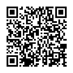 可是今年好莱坞的原创剧本却迎来了一个真正的大爆发二维码生成