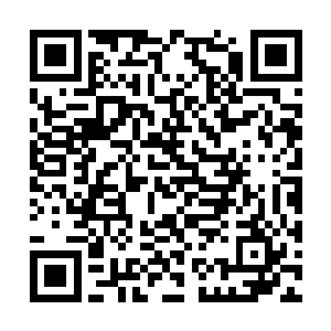 可是他们忽略一件最重要的事――穆根不是机器人二维码生成