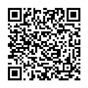 可是他们怎么就任由那个天使的灵魂寄居在骨皇体内二维码生成