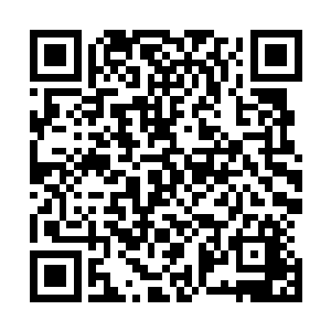 可是他依然清楚地知道了韩佳翔只有炼气期第十二层的实力二维码生成