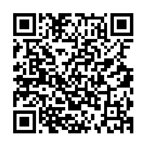 可是他对于自己掌控中的哪怕细微的异常都会追究个水落石出二维码生成