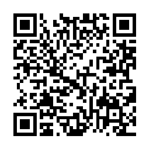 可是他并没有发现此时树的顶端正有一个人在悄悄的前进着二维码生成
