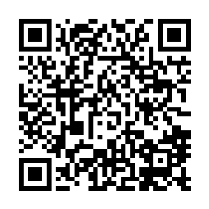 可是你……想必这一年多来你都在担心我会不会找你报仇吧二维码生成