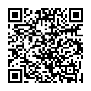 可是你看看她对你也只是想要索取和依靠寻求庇护的需要二维码生成