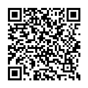 可是凭自己的能力可没有办法把它重新放归大海二维码生成