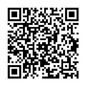 可是出窍期修行者都不一定能够涌出来的高深法术二维码生成