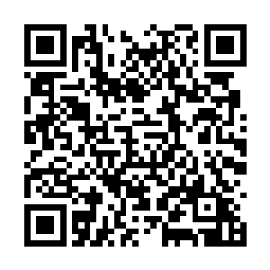 可是却发现自己根本没有办法找到生源到底在哪里二维码生成