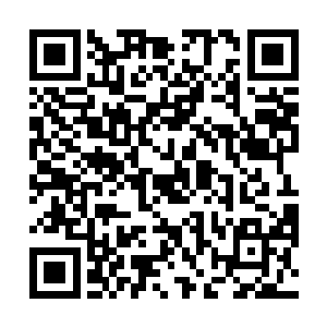 可是却还是有那么多的人处于整个社会食物链的最底层二维码生成