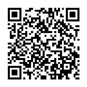 可是另外还有一个落寞的身影却居然缩在柜台里一动不动二维码生成