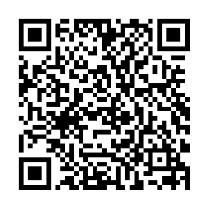 可是可以直接从很多战场碾压过去而受不到一丝损伤二维码生成