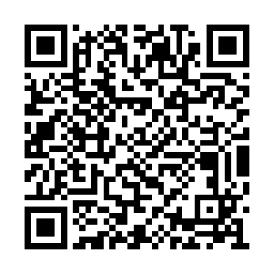 可是后来他们两个的脸上就全都是兴奋的神情了二维码生成