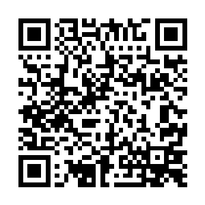 可是君陌非却是把君容祈的手一点点的拉离了自己的手二维码生成