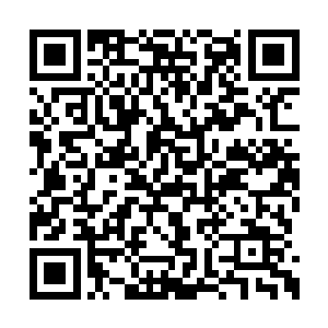 可是周紫衣见到自己的这个小师叔来到自己身边二维码生成