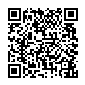 可是围观的各星域眼线们注意力已经不在战场中了二维码生成