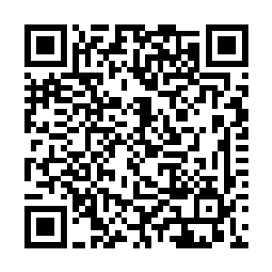 可是在官方论坛上看了视频的玩家有不少产生了兴趣二维码生成