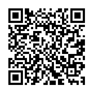 可是在此之前蒋国辉和地区农业局根本就没有做任何前期工作二维码生成