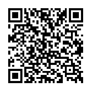 可是在玄天大陆上却没有一个种族敢于招惹龙族二维码生成