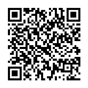 可是在这个世界里只有你一个孤零零的存在真的很好吗二维码生成