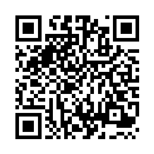 可是在雨林里完全没有视野的情况下二维码生成