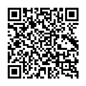 可是基本上却没有任何功法秘术可以变得像眼前两人这般厉害二维码生成