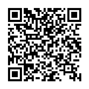 可是她却无法眼睁睁看着那些人即将被坏人残害而无动于衷二维码生成