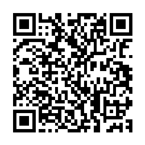 可是她更懂得乐器厂是他们付出了巨大的艰辛才闯出来的产业二维码生成