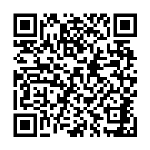 可是她没有想到的是吴虎臣听到他的话却是哈哈大笑了起来二维码生成