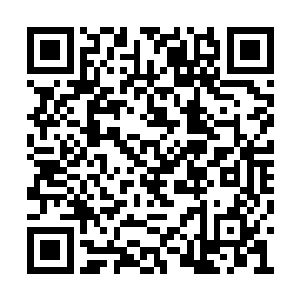 可是她藏在袖子里的双手还是忍不住的颤抖起来二维码生成