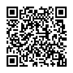 可是它们两个就是保持了一颗打死也不松口的心态二维码生成