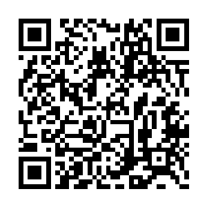 可是小叹花去两万多点技巧值在惊吓盒子里买的二维码生成