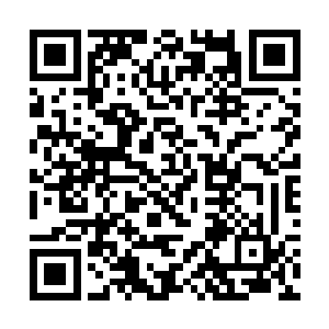 可是就在丁长生想和唐建申请一下再延长一个小时时二维码生成