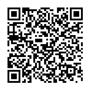 可是就在我转身的时候我却是看到了一个估计只有四五岁的小女孩二维码生成