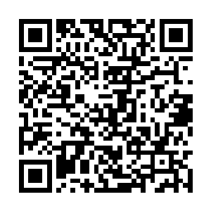 可是幸好有欣婶对她的不离不弃和莎莎的一如往昔二维码生成