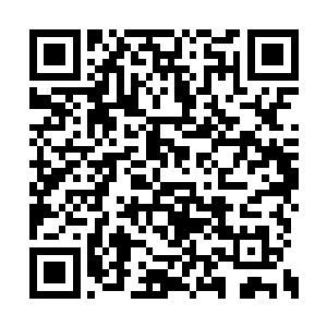 可是当他们说想在华英宫当一个杂役弟子的时候二维码生成