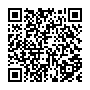 可是当成千上万只合金怪兽一股脑的冲到你面前时二维码生成