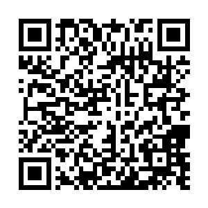 可是当爱丽丝几乎将自己的获奖感言都快要说完的时候二维码生成