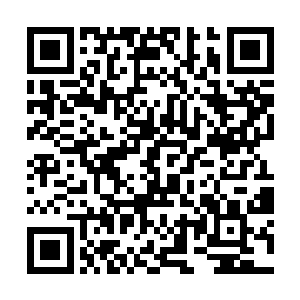 可是心中还是有些埋怨风云的人为什么不主动出击啊二维码生成