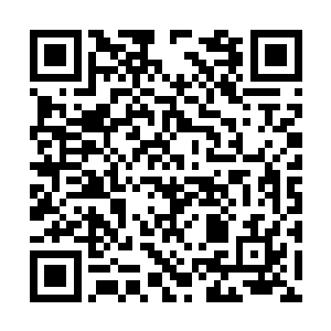可是我们听到的声音却是从陆晓红的身后穿出來的二维码生成